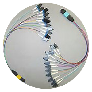 MTP / MPO Assemblies